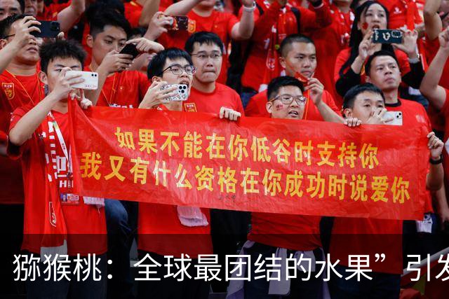 猕猴桃：全球最团结的水果”引发热议，网友感慨太贴切！总是硬得可以……一放就坏！